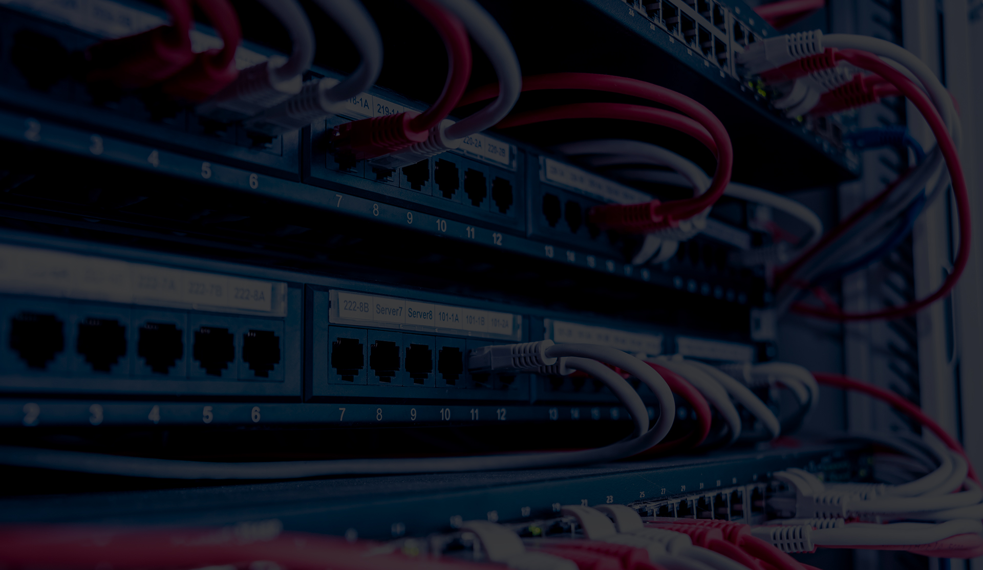 Network switch and ethernet cables in red and white colors. Data Center